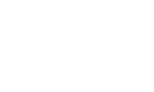 DLS media